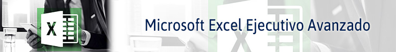 Banner - Microsoft Excel Ejecutivo Avanzado (CACP PALACIO DE LA AUTONOMÍA)