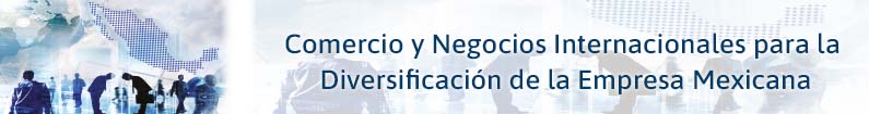 Banner - Comercio y Negocios Internacionales para la Diversificación de la Empresa Mexicana