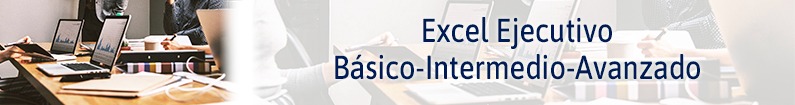 Banner - Excel Ejecutivo Básico-Intermedio-Avanzado (PALACIO DE LA AUTONOMÍA)